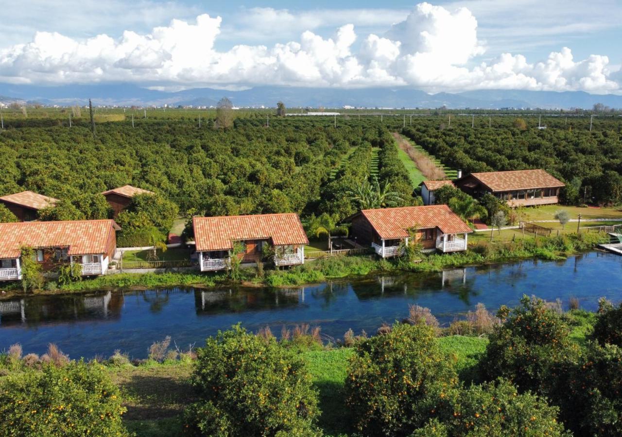 Гостьовий будинок Turkuazkoey Фініке Екстер'єр фото